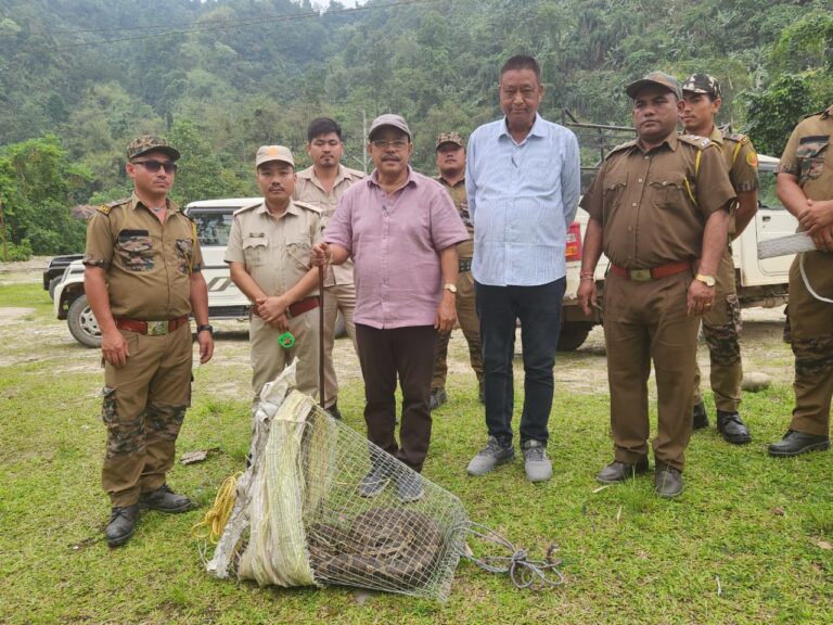 10-ft python rescued, released in Kane Wildlife Sanctuary