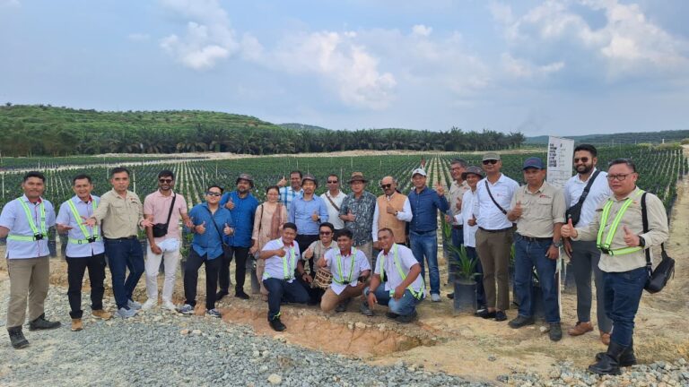 Arunachal delegation studies oil palm practices in Indonesia