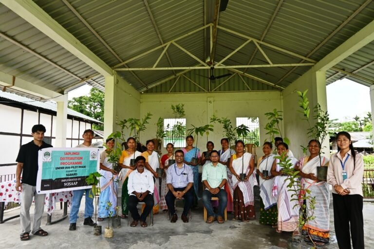 Sapling distribution drive