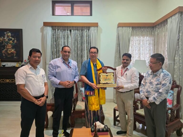 State govt committed to expediting Dibang project: Mein