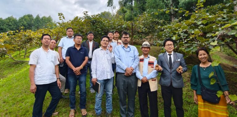APEDA explores pilot export of Ziro Kiwi to Singapore, Dubai